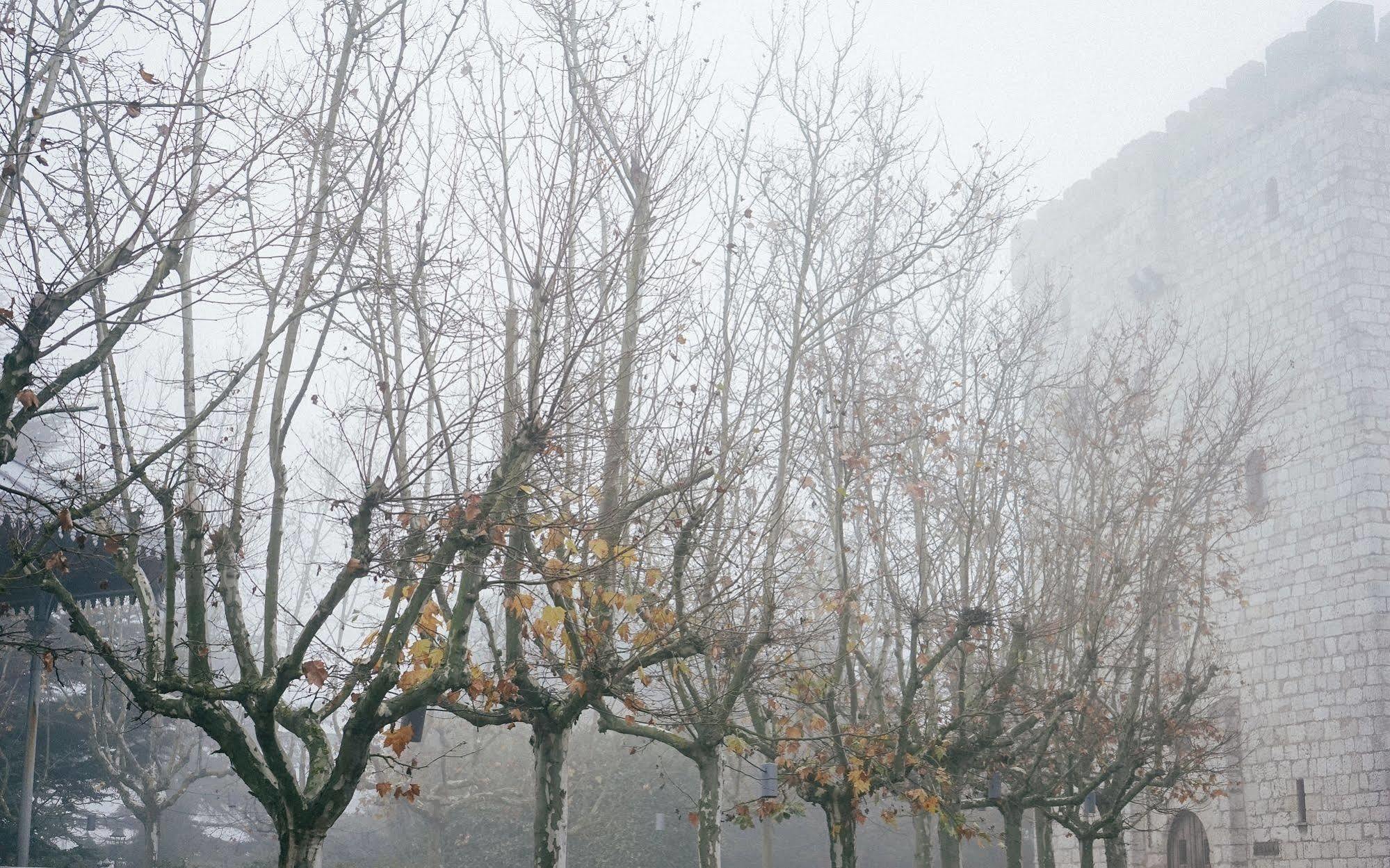 Landa Hotel Burgo Exterior foto Trees in winter